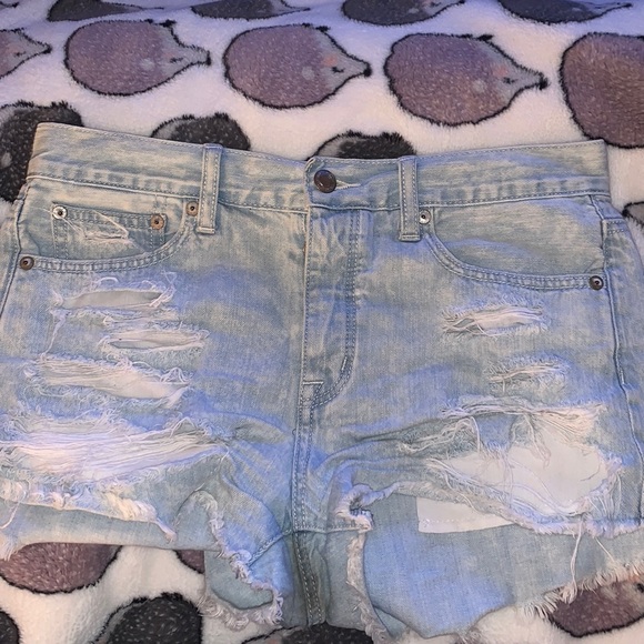 AE Hi Rise Festival Shorts - Picture 1 of 1